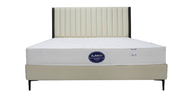 Modern style double master bed